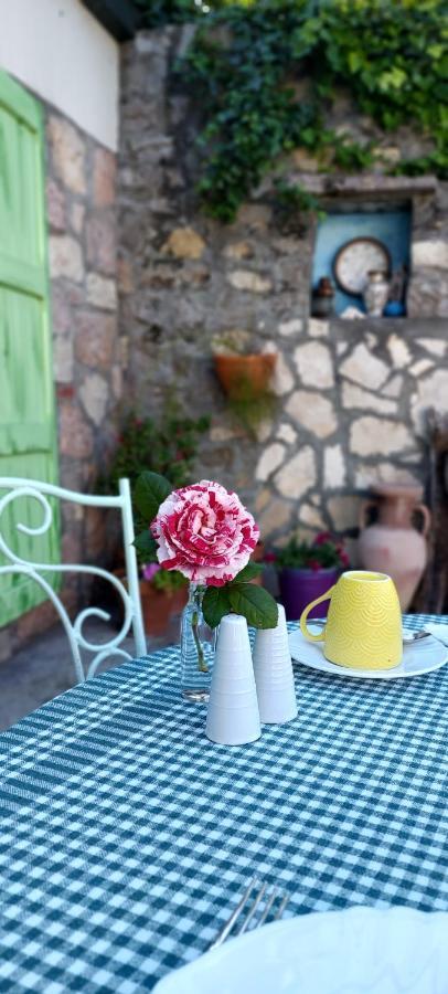 Boutique Home Saltaragazza Petrovac Exterior foto